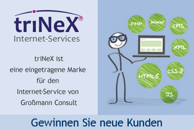 triNeX,Interner-Service